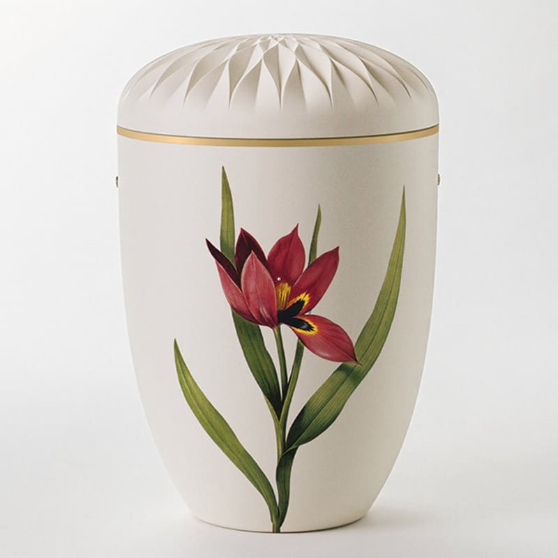 Nr. 16 – Ydun Tulipan