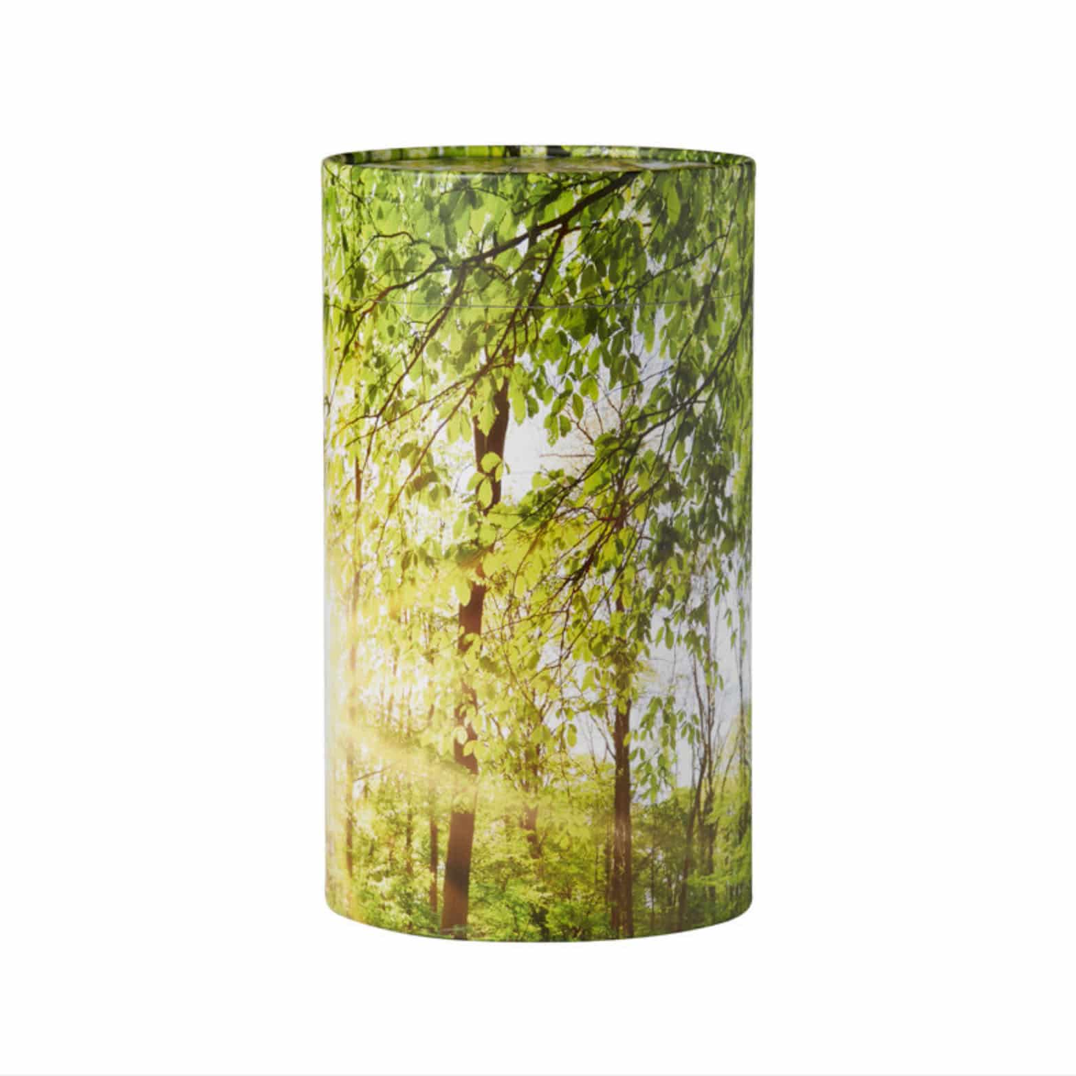 Nr. 3 &#8211; Askerør Skov