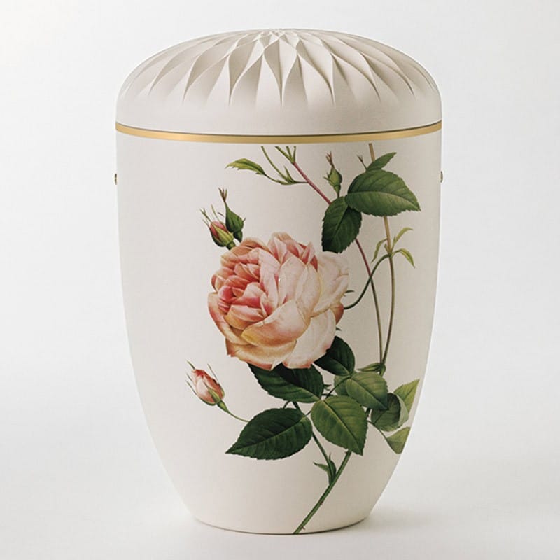 Nr. 15 – Ydun Rose