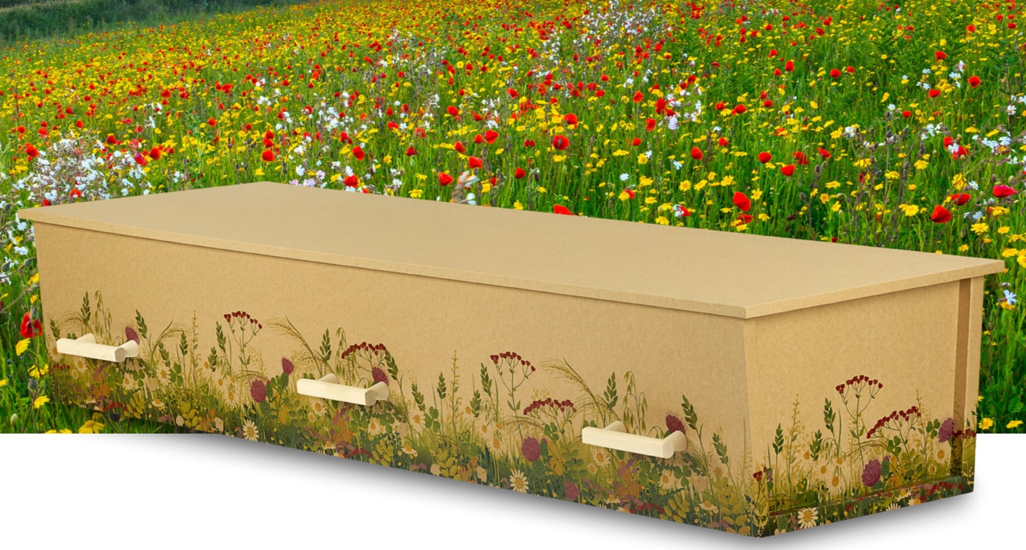 Nr. 12 – Orbit, blomstereng