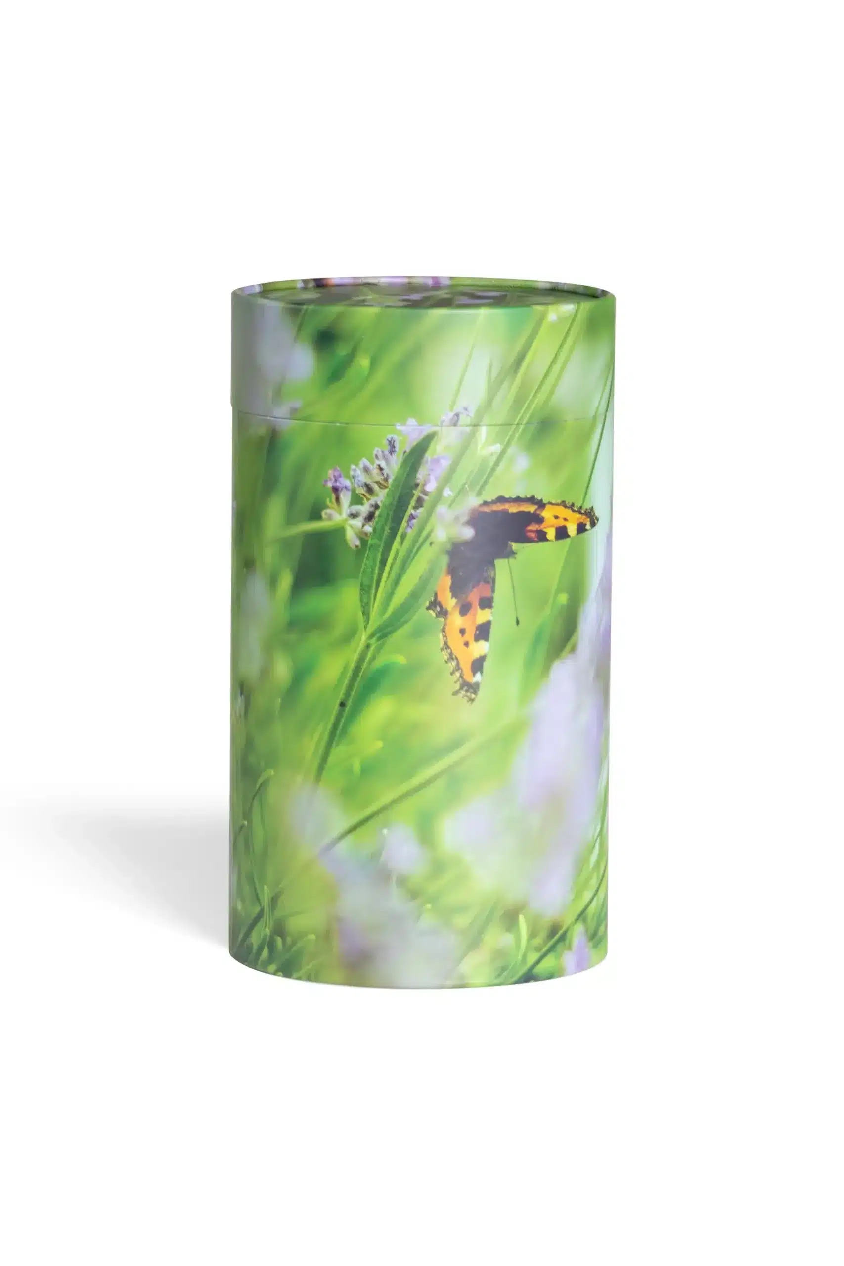 Askerør med sommerfugl