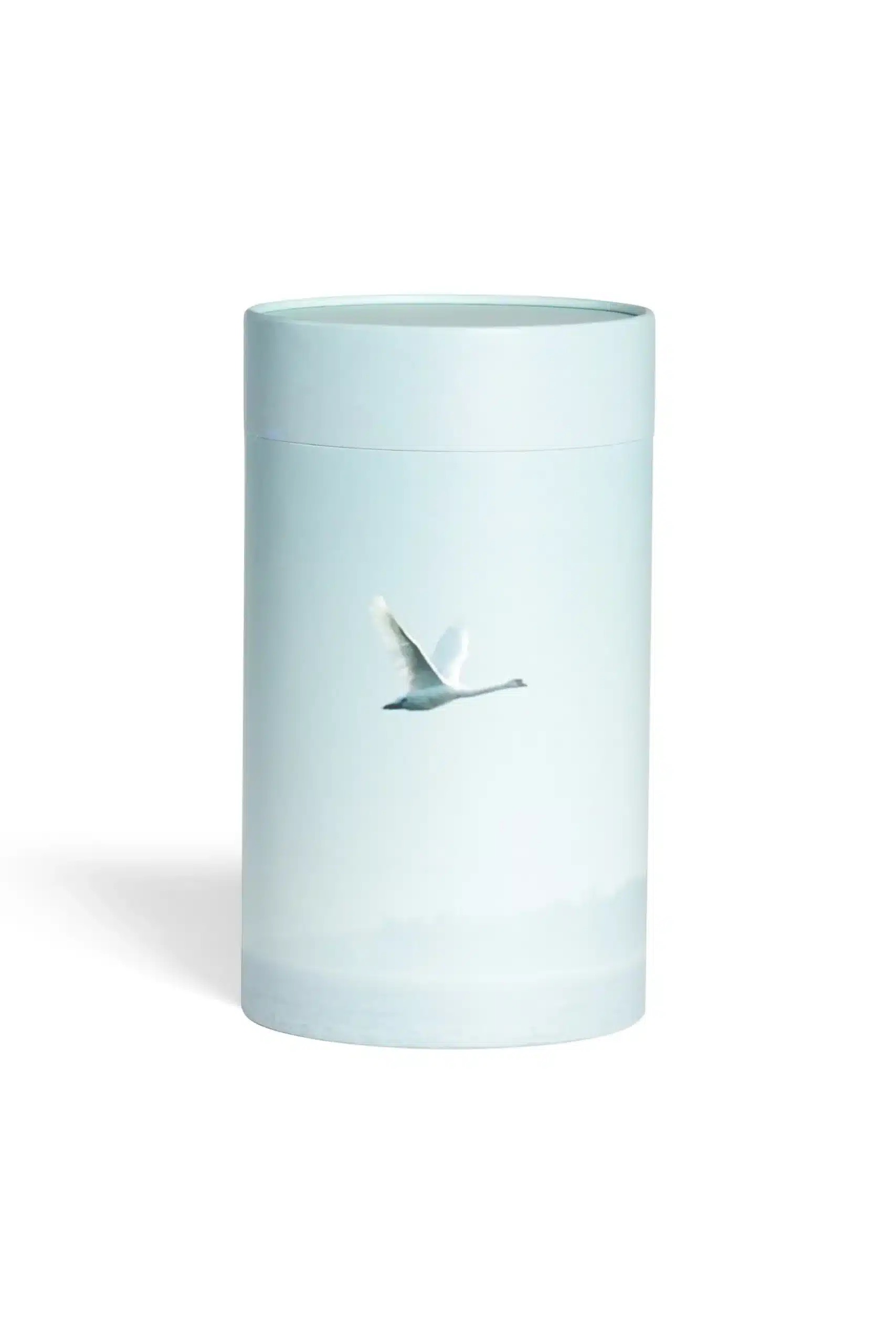 Askerør, svane flyver over havet