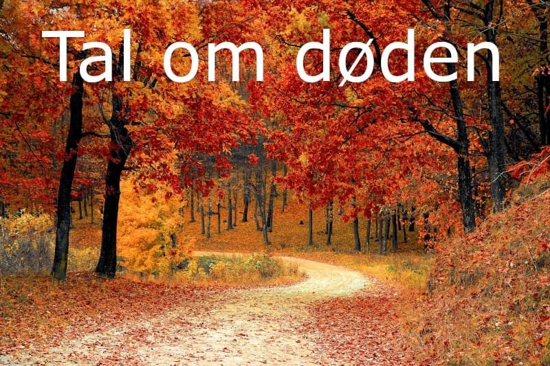 Hvorfor taler vi ikke om døden?
