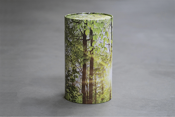 Askerør med forårsskov