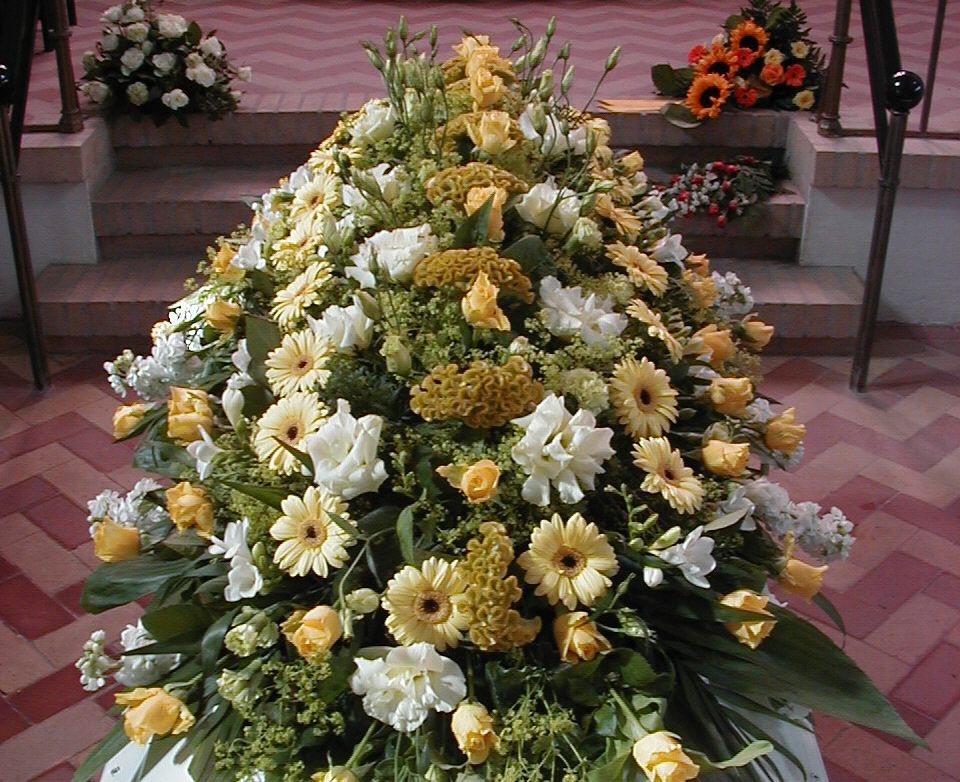 IDE 511 – GUL OG HVID-3