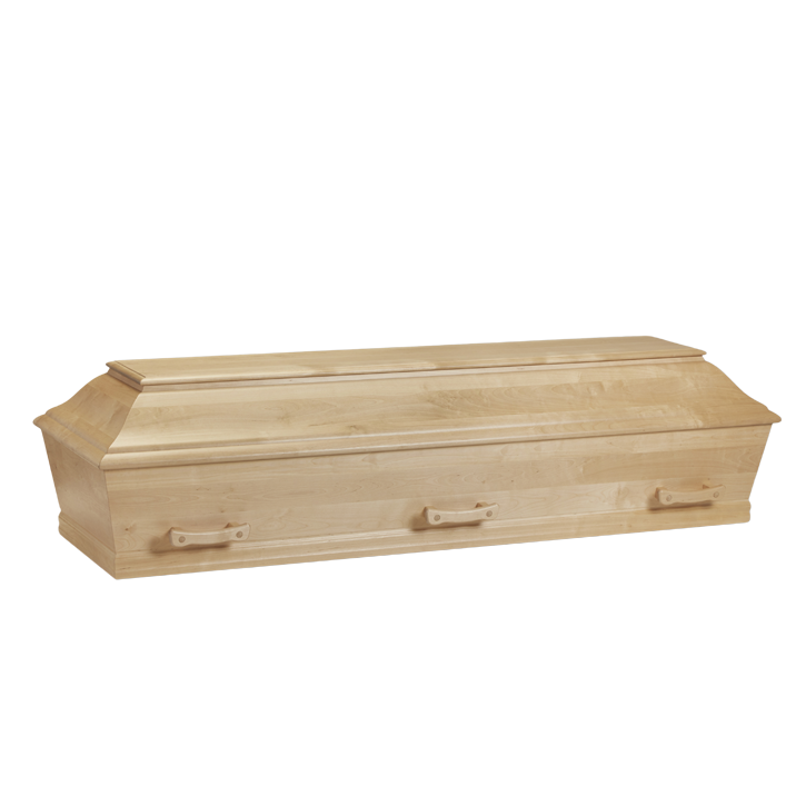 Natur | Nordische Birke