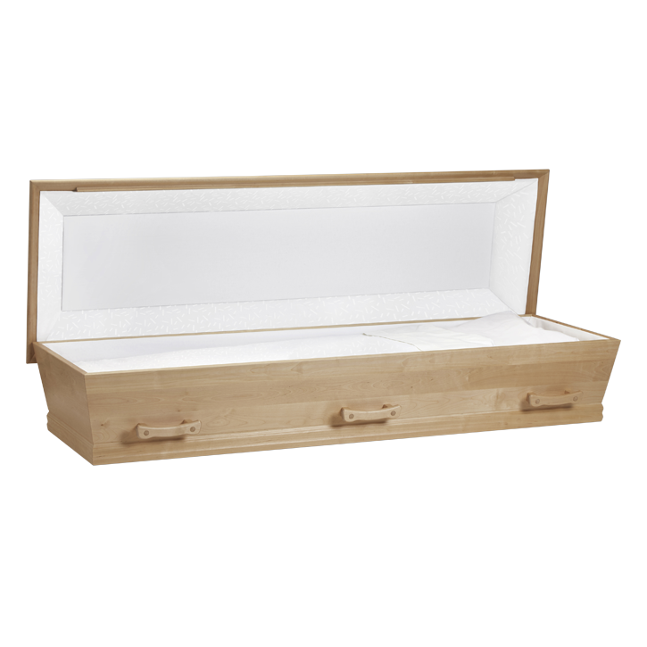 Natur | Nordische Birke